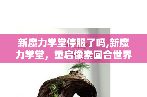 新魔力学堂停服了吗,新魔力学堂,重启像素回合世界里的青春旧时光 新魔力学堂停服了吗,新魔力学堂,重启像素回合世界里的青春旧时光