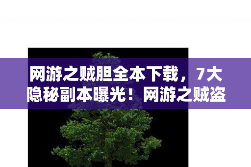 网游之贼胆全本下载,7大隐秘副本曝光!网游之贼盗开发组藏了8年的致命真相 网游之贼胆全本下载,7大隐秘副本曝光!网游之贼盗开发组藏了8年的致命真相