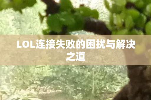 LOL连接失败的困扰与解决之道图片
