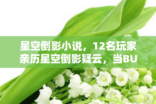 星空倒影小说,12名玩家亲历星空倒影疑云,当BUG变成集体狂欢,真相让人绷不住! 星空倒影小说,12名玩家亲历星空倒影疑云,当BUG变成集体狂欢,真相让人绷不住!