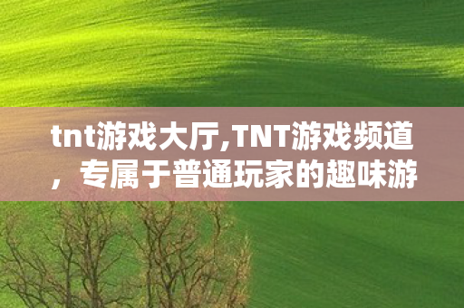 tnt游戏大厅,TNT游戏频道,专属于普通玩家的趣味游戏乐园 tnt游戏大厅,TNT游戏频道,专属于普通玩家的趣味游戏乐园