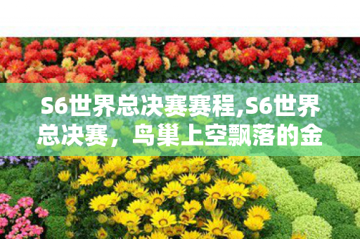 S6世界总决赛赛程,S6世界总决赛,鸟巢上空飘落的金色传奇 S6世界总决赛赛程,S6世界总决赛,鸟巢上空飘落的金色传奇