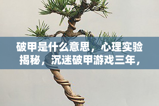 破甲是什么意思,心理实验揭秘,沉迷破甲游戏三年,细思极恐的自我囚禁 破甲是什么意思,心理实验揭秘,沉迷破甲游戏三年,细思极恐的自我囚禁