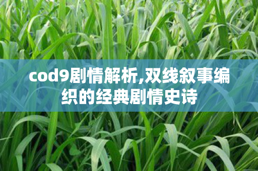 cod9剧情解析,双线叙事编织的经典剧情史诗 cod9剧情解析,双线叙事编织的经典剧情史诗