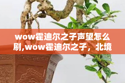 wow霍迪尔之子声望怎么刷,wow霍迪尔之子,北境冰原上的霜脉守望者 wow霍迪尔之子声望怎么刷,wow霍迪尔之子,北境冰原上的霜脉守望者