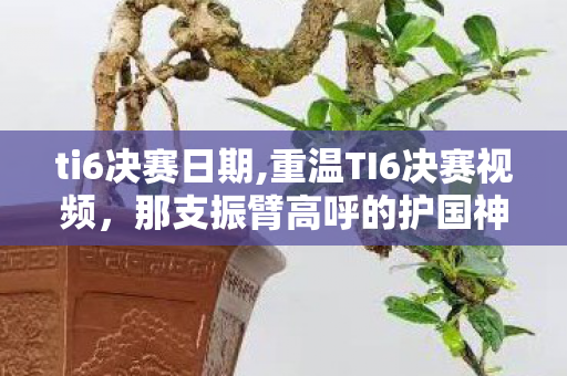 ti6决赛日期,重温TI6决赛视频,那支振臂高呼的护国神翼,是DOTA2玩家永远的盛夏 ti6决赛日期,重温TI6决赛视频,那支振臂高呼的护国神翼,是DOTA2玩家永远的盛夏
