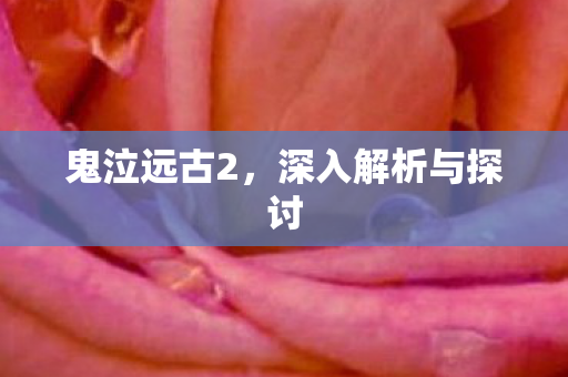 深入解析与探讨图片
