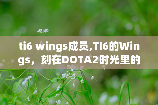 ti6 wings成员,TI6的Wings,刻在DOTA2时光里的热血童话 ti6 wings成员,TI6的Wings,刻在DOTA2时光里的热血童话