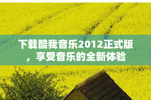 下载酷我音乐2012正式版图片