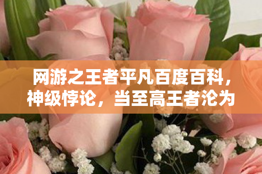 网游之王者平凡百度百科,神级悖论,当至高王者沦为蝼蚁,抽卡即命运审判的2027年深渊 网游之王者平凡百度百科,神级悖论,当至高王者沦为蝼蚁,抽卡即命运审判的2027年深渊