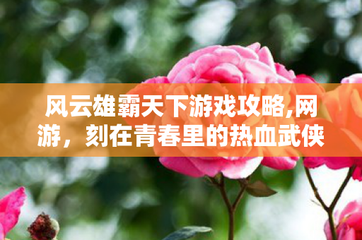 风云雄霸天下游戏攻略,网游,刻在青春里的热血武侠印记 风云雄霸天下游戏攻略,网游,刻在青春里的热血武侠印记