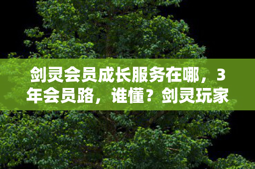 剑灵会员成长服务在哪，3年会员路，谁懂？剑灵玩家身份之谜背后的心酸成长史