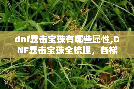 dnf暴击宝珠有哪些属性,DNF暴击宝珠全梳理,各梯度适配宝珠一览,轻松拉满暴击属性 dnf暴击宝珠有哪些属性,DNF暴击宝珠全梳理,各梯度适配宝珠一览,轻松拉满暴击属性