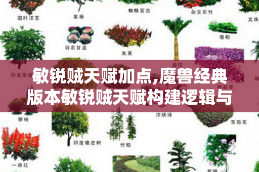 敏锐贼天赋加点,魔兽经典版本敏锐贼天赋构建逻辑与实战应用指南