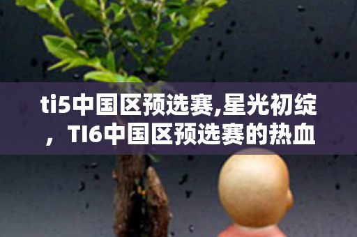 ti5中国区预选赛,星光初绽，TI6中国区预选赛的热血序章