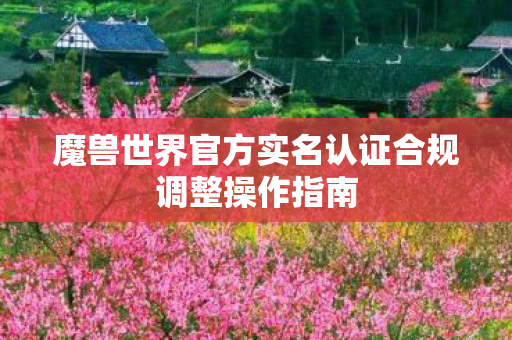 魔兽世界官方实名认证合规调整操作指南 魔兽世界官方实名认证合规调整操作指南