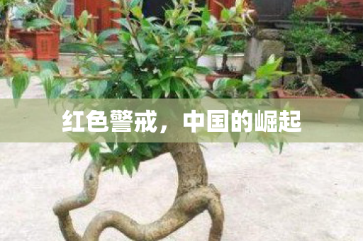中国的崛起图片
