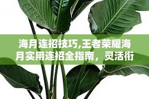 海月连招技巧,王者荣耀海月实用连招全指南，灵活衔接轻松掌控对局节奏