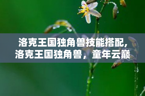 洛克王国独角兽技能搭配,洛克王国独角兽,童年云巅上的银色软梦 洛克王国独角兽技能搭配,洛克王国独角兽,童年云巅上的银色软梦