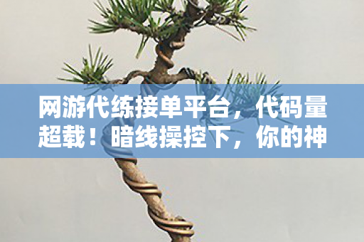 网游代练接单平台，代码量超载！暗线操控下，你的神经末梢正在头皮发麻地颤抖