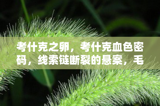 考什克之卵,考什克血色密码,线索链断裂的悬案,毛骨悚然十年困局 考什克之卵,考什克血色密码,线索链断裂的悬案,毛骨悚然十年困局