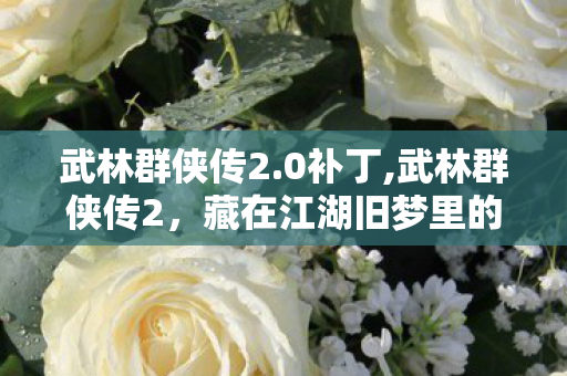 武林群侠传2.0补丁,武林群侠传2,藏在江湖旧梦里的鲜活烟火气 武林群侠传2.0补丁,武林群侠传2,藏在江湖旧梦里的鲜活烟火气