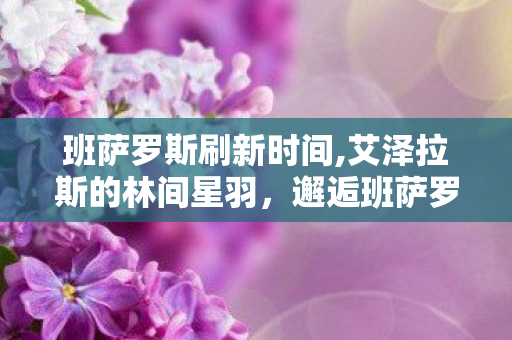 班萨罗斯刷新时间,艾泽拉斯的林间星羽,邂逅班萨罗斯的温柔奇遇 班萨罗斯刷新时间,艾泽拉斯的林间星羽,邂逅班萨罗斯的温柔奇遇