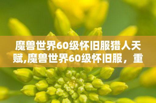 魔兽世界60级怀旧服猎人天赋,魔兽世界60级怀旧服,重走艾泽拉斯路,重拾纯粹冒险初心 魔兽世界60级怀旧服猎人天赋,魔兽世界60级怀旧服,重走艾泽拉斯路,重拾纯粹冒险初心