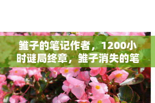 雏子的笔记作者,1200小时谜局终章,雏子消失的笔记为何让百万玩家泪目? 雏子的笔记作者,1200小时谜局终章,雏子消失的笔记为何让百万玩家泪目?