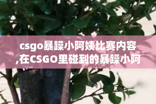 csgo暴躁小阿姨比赛内容,在CSGO里碰到的暴躁小阿姨,是我们整支车队的专属开心果 csgo暴躁小阿姨比赛内容,在CSGO里碰到的暴躁小阿姨,是我们整支车队的专属开心果
