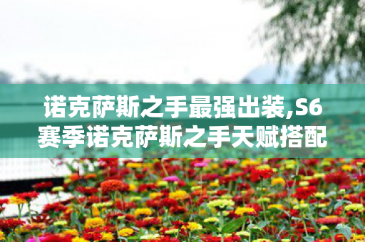 诺克萨斯之手最强出装,S6赛季诺克萨斯之手天赋搭配全指南,让德莱厄斯的断头台威慑力拉满 诺克萨斯之手最强出装,S6赛季诺克萨斯之手天赋搭配全指南,让德莱厄斯的断头台威慑力拉满