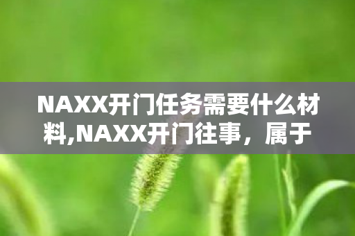 NAXX开门任务需要什么材料,NAXX开门往事,属于60年代怀旧服玩家的专属仪式感 NAXX开门任务需要什么材料,NAXX开门往事,属于60年代怀旧服玩家的专属仪式感