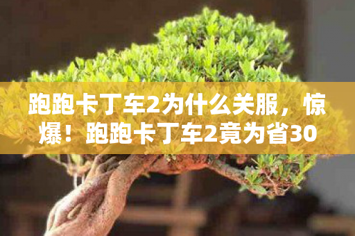 跑跑卡丁车2为什么关服,惊爆!跑跑卡丁车2竟为省3000万砍玩法,背后隐情让人吓一跳! 跑跑卡丁车2为什么关服,惊爆!跑跑卡丁车2竟为省3000万砍玩法,背后隐情让人吓一跳!