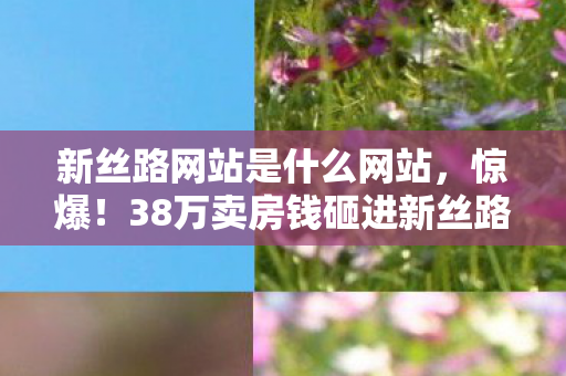 新丝路网站是什么网站,惊爆!38万卖房钱砸进新丝路,老婆怒签离婚协议,背后隐情吓你一跳! 新丝路网站是什么网站,惊爆!38万卖房钱砸进新丝路,老婆怒签离婚协议,背后隐情吓你一跳!