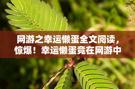 网游之幸运懒蛋全文阅读,惊爆!幸运懒蛋竟在网游中3天狂揽999+神装,背后真相太离奇! 网游之幸运懒蛋全文阅读,惊爆!幸运懒蛋竟在网游中3天狂揽999+神装,背后真相太离奇!