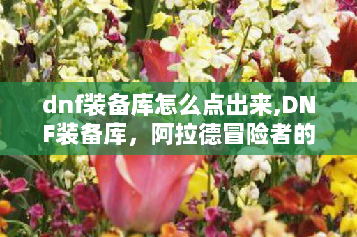 dnf装备库怎么点出来,DNF装备库,阿拉德冒险者的专属装备成长百宝箱 dnf装备库怎么点出来,DNF装备库,阿拉德冒险者的专属装备成长百宝箱