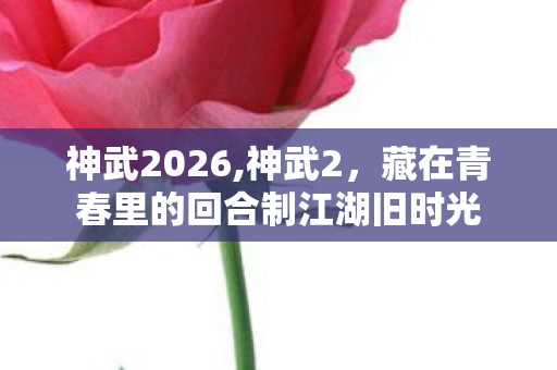 神武2026,神武2,藏在青春里的回合制江湖旧时光 神武2026,神武2,藏在青春里的回合制江湖旧时光