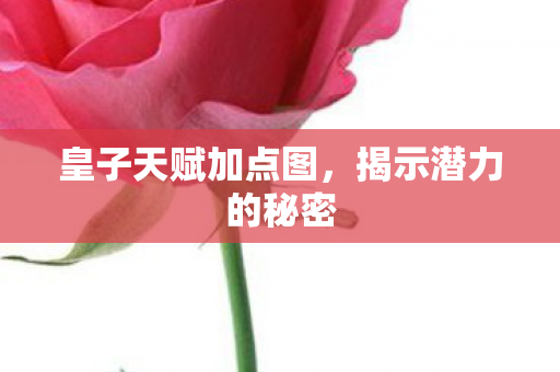 皇子天赋加点图图片