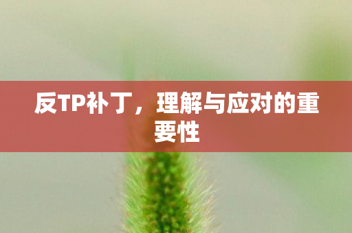 理解与应对的重要性图片