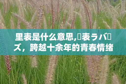 里表是什么意思,裏表ラバーズ,跨越十余年的青春情绪共鸣 里表是什么意思,裏表ラバーズ,跨越十余年的青春情绪共鸣