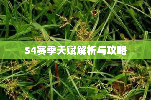 S4赛季天赋解析与攻略图片