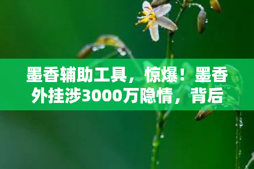 墨香辅助工具,惊爆!墨香外挂涉3000万隐情,背后真相让人吓一跳! 墨香辅助工具,惊爆!墨香外挂涉3000万隐情,背后真相让人吓一跳!