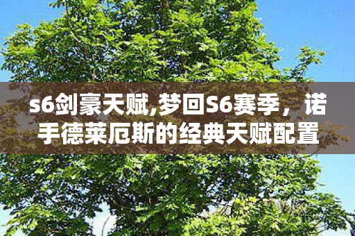 s6剑豪天赋,梦回S6赛季,诺手德莱厄斯的经典天赋配置全解析 s6剑豪天赋,梦回S6赛季,诺手德莱厄斯的经典天赋配置全解析