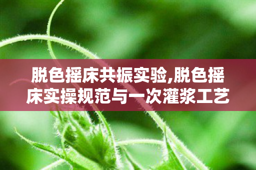 脱色摇床共振实验,脱色摇床实操规范与一次灌浆工艺的应用要点梳理 脱色摇床共振实验,脱色摇床实操规范与一次灌浆工艺的应用要点梳理