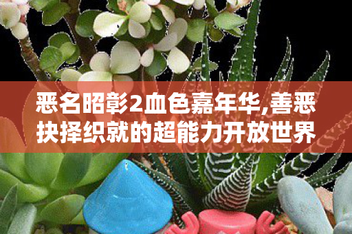 恶名昭彰2血色嘉年华,善恶抉择织就的超能力开放世界佳作 恶名昭彰2血色嘉年华,善恶抉择织就的超能力开放世界佳作