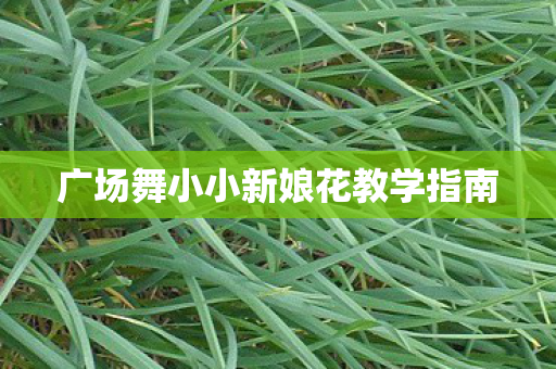 广场舞小小新娘花教学指南图片