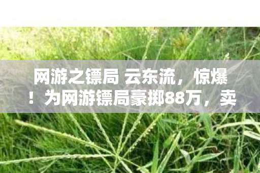网游之镖局 云东流,惊爆!为网游镖局豪掷88万,卖房充值的隐情让我吓一跳! 网游之镖局 云东流,惊爆!为网游镖局豪掷88万,卖房充值的隐情让我吓一跳!