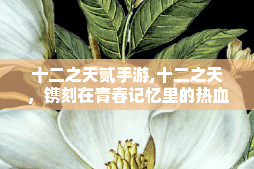 十二之天贰手游,十二之天,镌刻在青春记忆里的热血江湖旧梦 十二之天贰手游,十二之天,镌刻在青春记忆里的热血江湖旧梦