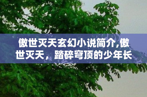 傲世灭天玄幻小说简介,傲世灭天,踏碎穹顶的少年长歌 傲世灭天玄幻小说简介,傲世灭天,踏碎穹顶的少年长歌