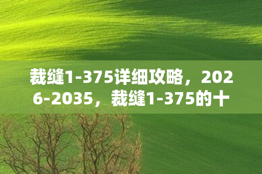裁缝1-375详细攻略,2026-2035,裁缝1-375的十年狂飙,你见过技能树炸裂成银河吗? 裁缝1-375详细攻略,2026-2035,裁缝1-375的十年狂飙,你见过技能树炸裂成银河吗?